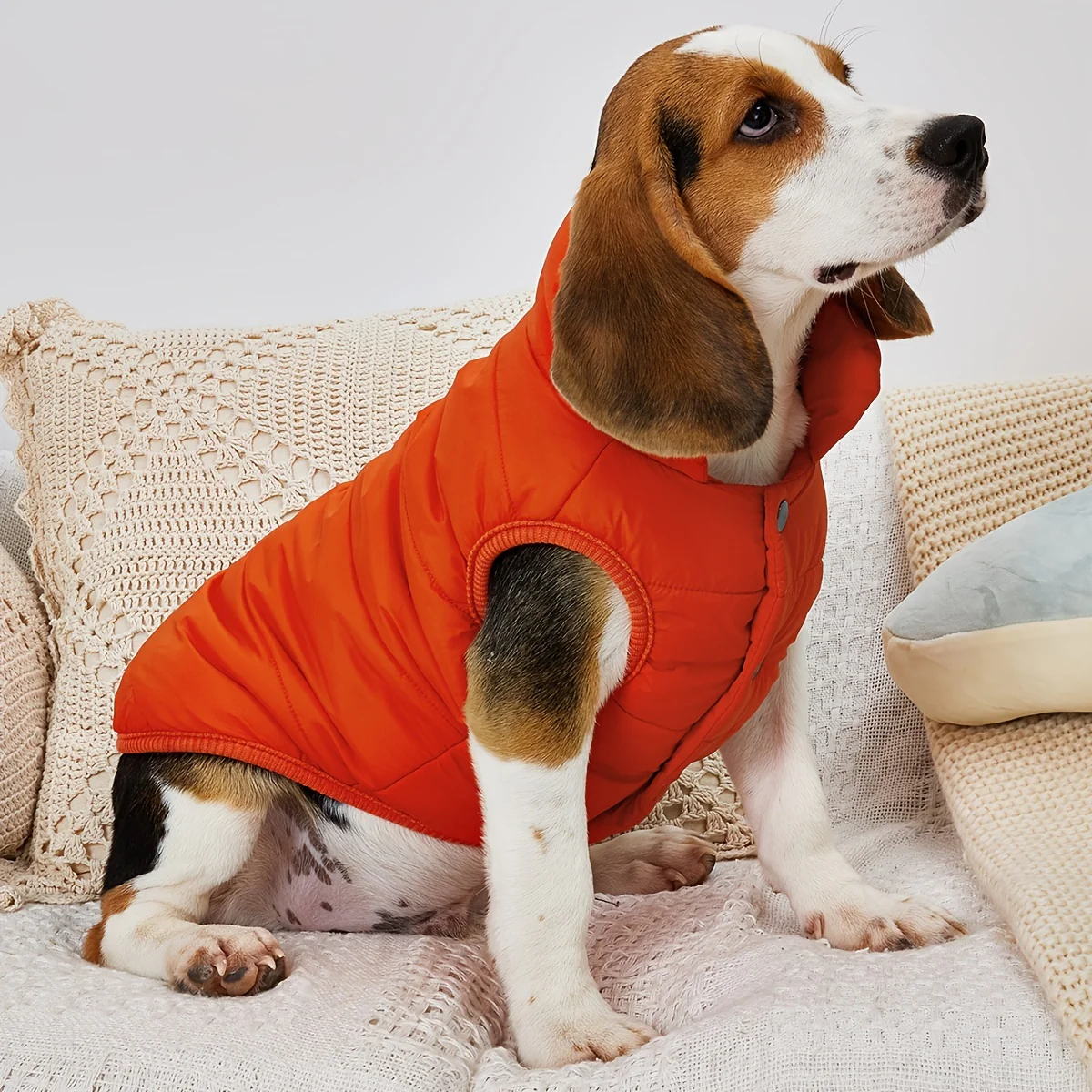 1pc Solid Color Dog Winter Warm Coat Thickened Padded Pet Jacket Soft Comfortable Dog Clothes For Cold Weather - Image 9