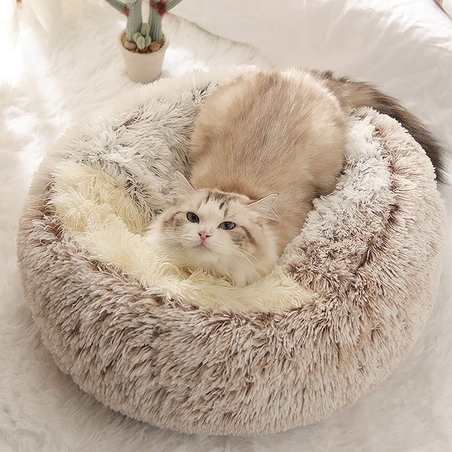 2 in 1 Round Warm Pet Bed House Polyester Cat Bed, Long Plush, Winter, with Sleeping Bag Sofa Cushion for Cat - Image 4