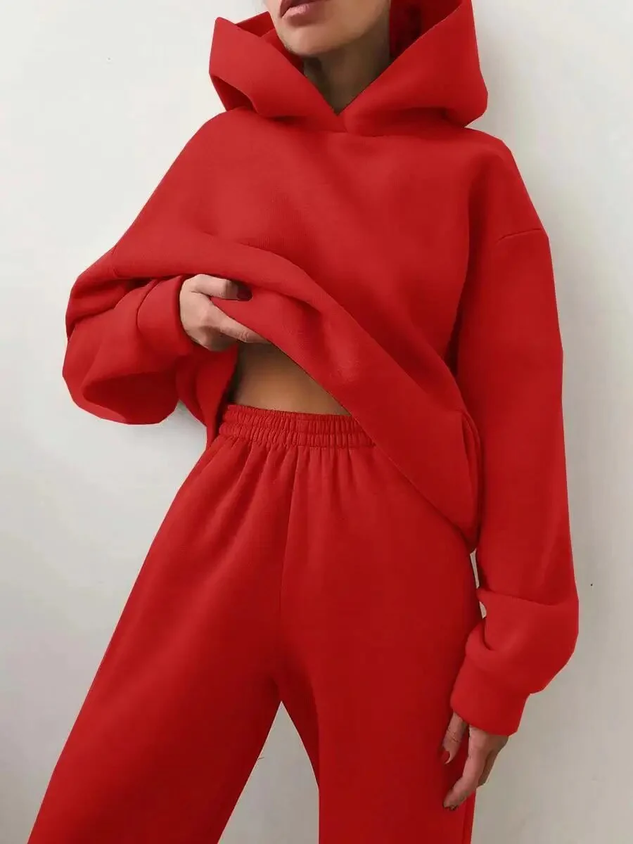 2022 Winter Women Two Piece Sets Tracksuit Autumn Casual Solid Long Sleeve Hoodie Sweatshirts Female Oversized Trouser Pant Suit - Image 14