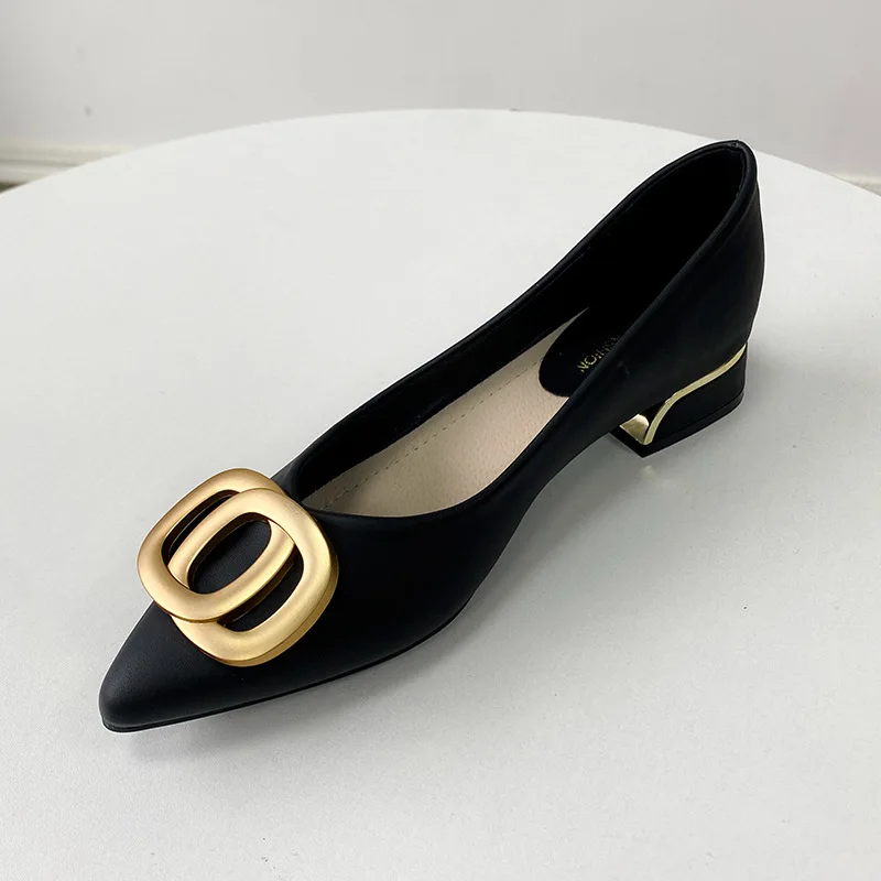 2023 New Spring Women's Single Shoes Pointed Toe Low Heel French Style Thick Heel Professional Elegant Low Heels Work Shoes - Image 4