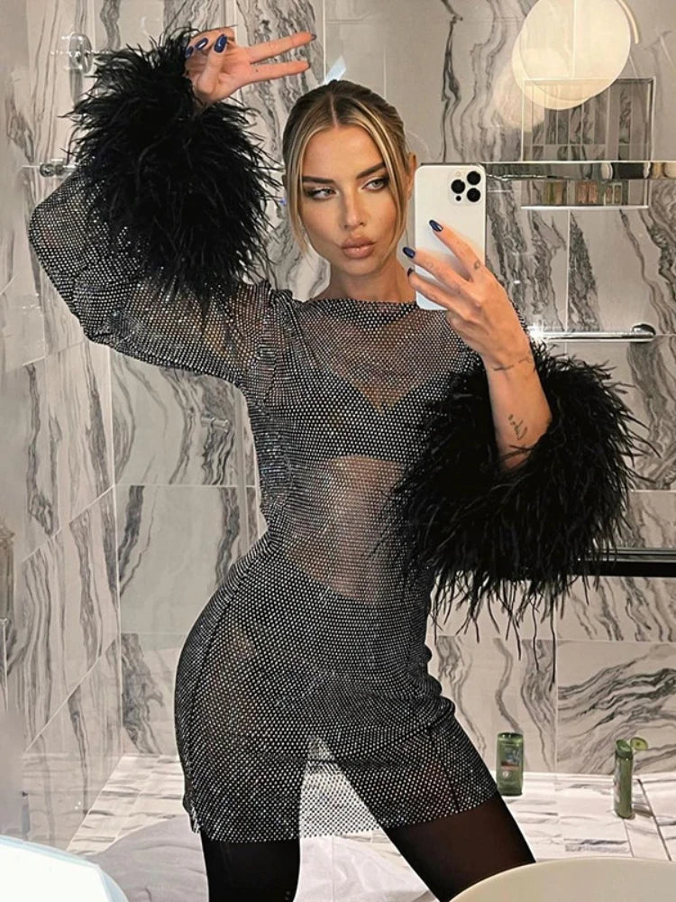 2023 Sexy Mesh Mini Dress Women Fashion Feathers Tassel Full Sleeve See Through Dress Summer Pink Shinny Club Party Dress Outfit - Image 4
