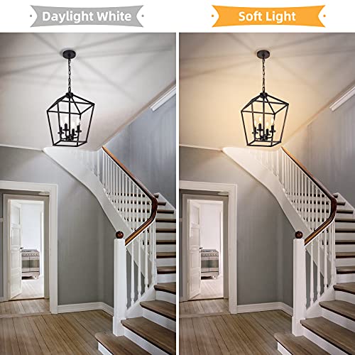 4 Light Chandelier, Industrial Ceiling Light Black Lantern Light Fixtures with Farmhouse Metal Cage Adjustable Height Rustic Geometric Hanging Light E12 Base for Kitchen Island, Entryway, Indoor - Image 3