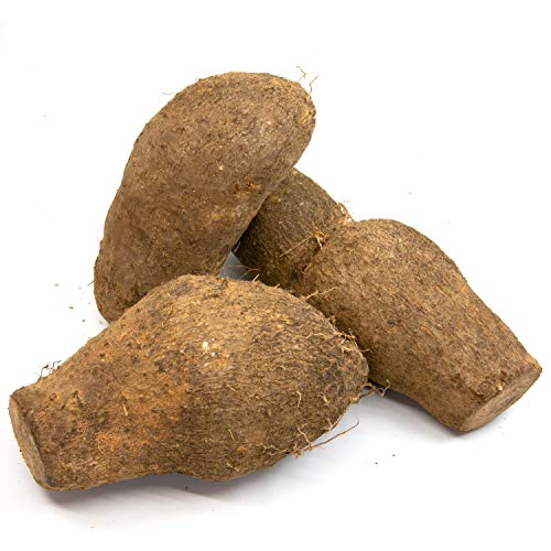 Angel Delite by Bae Yellow Yam Jamaican, 40 Pound Box - Image 3