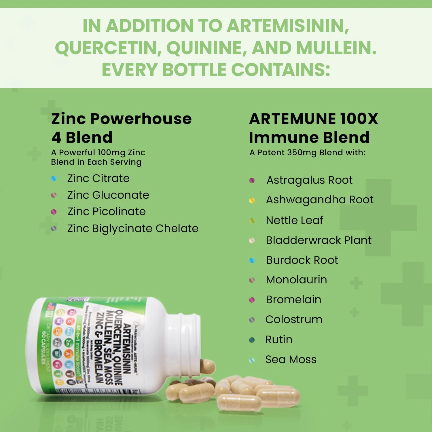 Artemisinin 2500mg Quercetin 1000mg Zinc 100mg Mullein Quinine Supplement with Sea Moss Bromelain Ashwagandha Root Nettle Leaf Bladderwrack Burdock Root Monolaurin Colostrum Rutin - Immune Support USA - Image 5