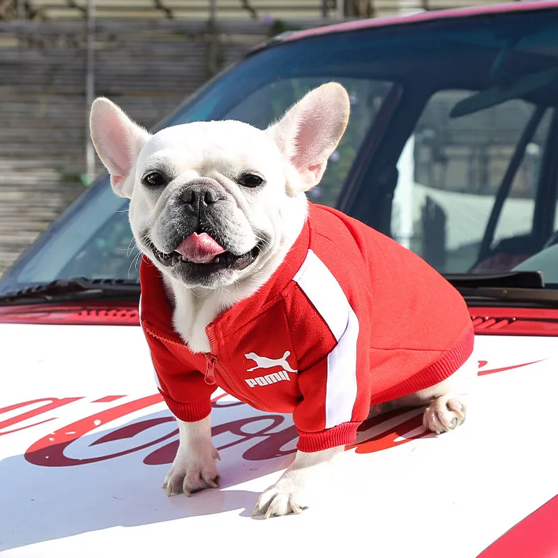 Baseball Dog Jacket Winter Dog Clothes for Small Medium Dogs Puppy Pet Vest French Bulldog Sweatshirt Chihuahua Costume Pug Coat - Image 3