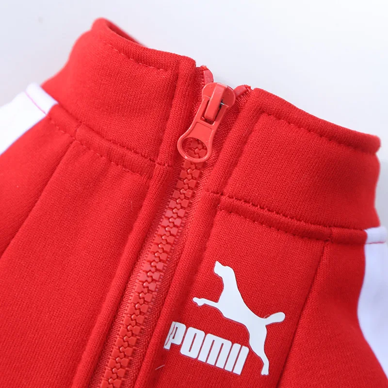 Baseball Dog Jacket Winter Dog Clothes for Small Medium Dogs Puppy Pet Vest French Bulldog Sweatshirt Chihuahua Costume Pug Coat - Image 5