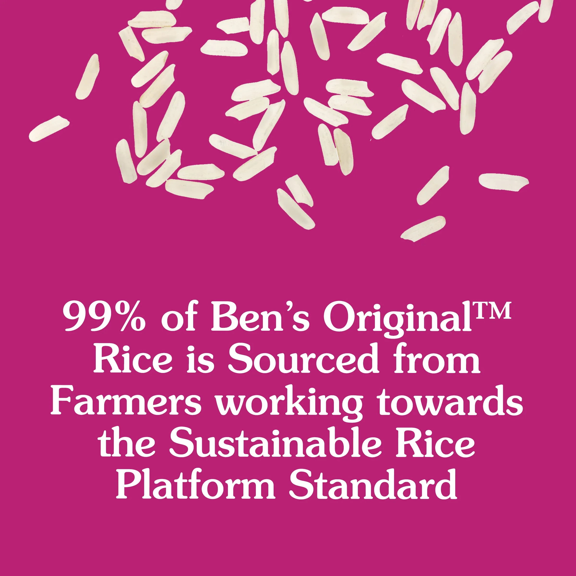 BEN'S ORIGINAL Ready Rice Basmati Rice, Easy Side Dish, 8.5 OZ Pouch (Pack of 6) - Image 5
