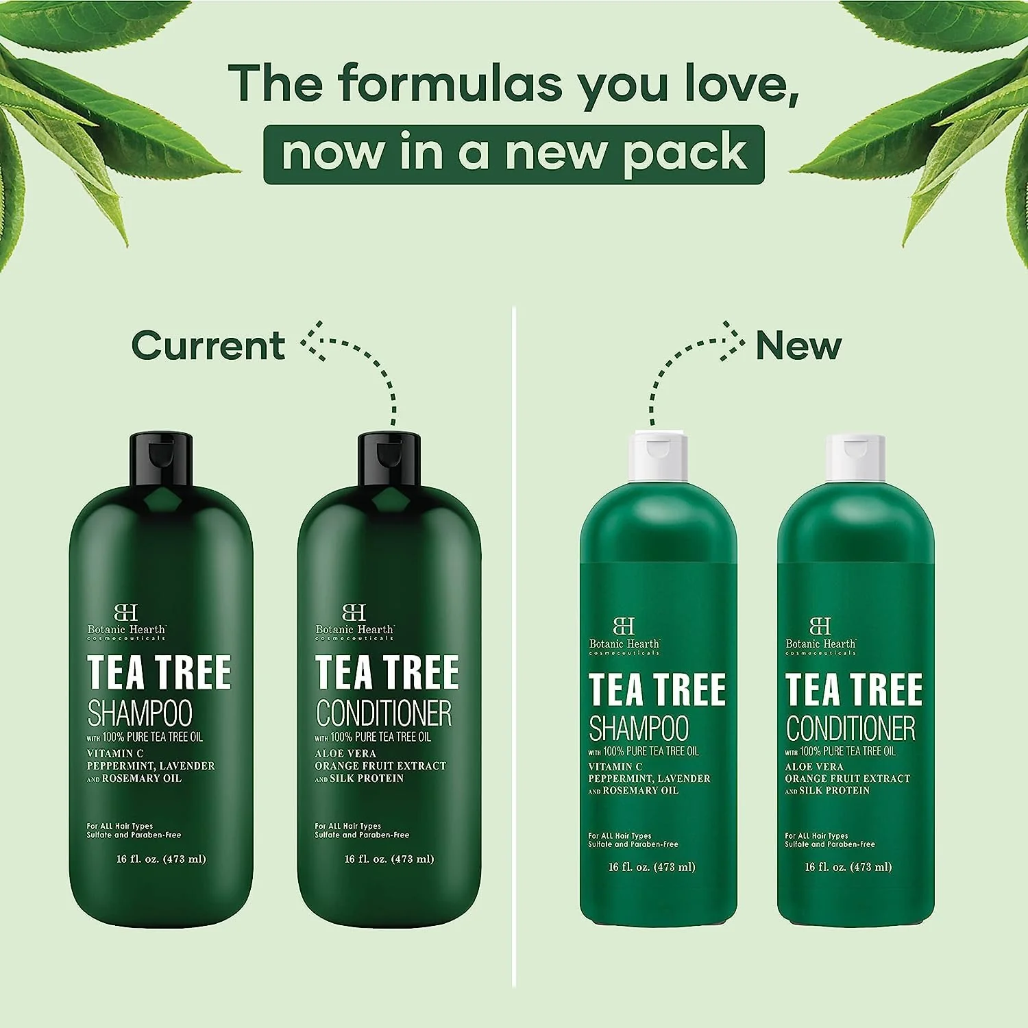 Botanic Hearth Shampoo and Conditioner Set - with 100% Pure Tea Tree Oil, for Itchy and Dry Scalp, Sulfate/ Paraben Free - for Men and Women - 16 fl oz each - Image 2