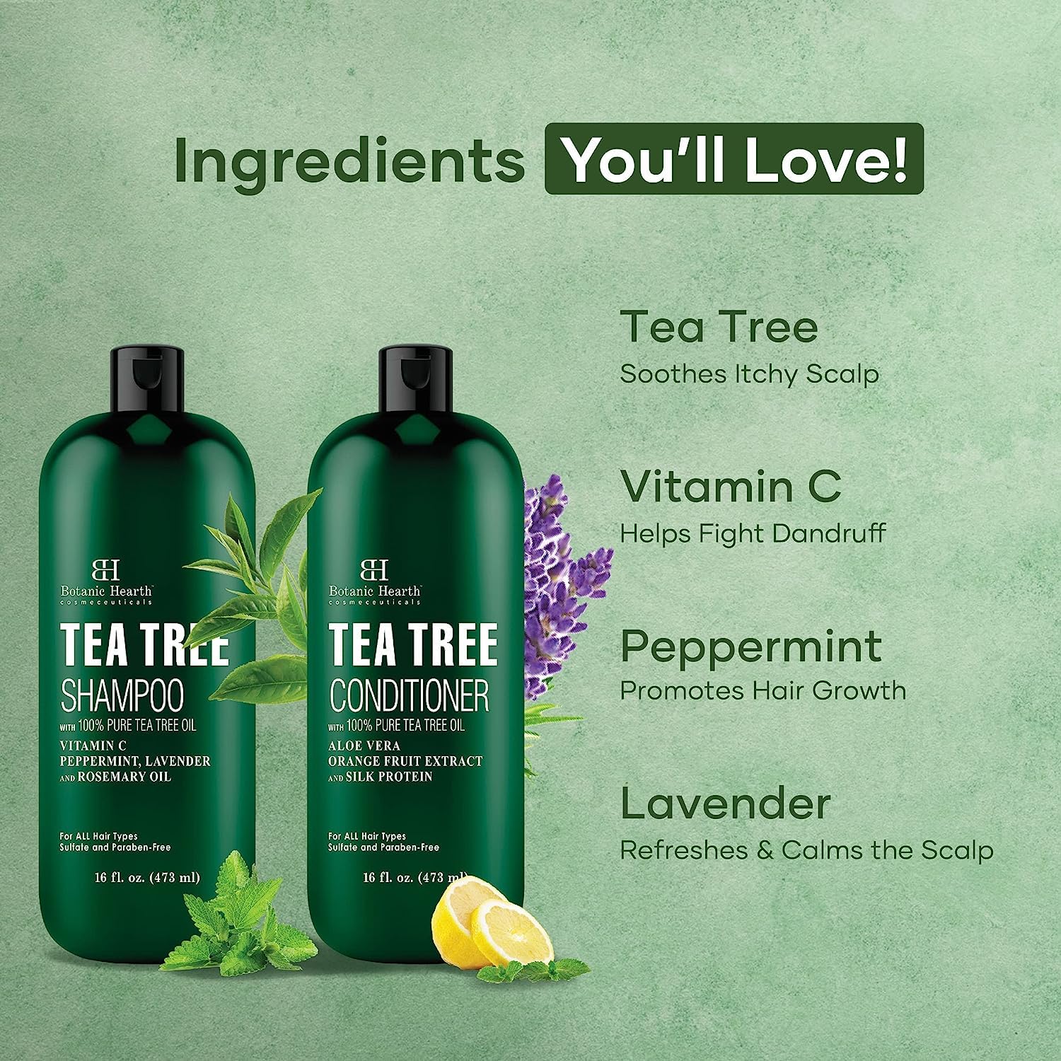 Botanic Hearth Shampoo and Conditioner Set - with 100% Pure Tea Tree Oil, for Itchy and Dry Scalp, Sulfate/ Paraben Free - for Men and Women - 16 fl oz each - Image 7