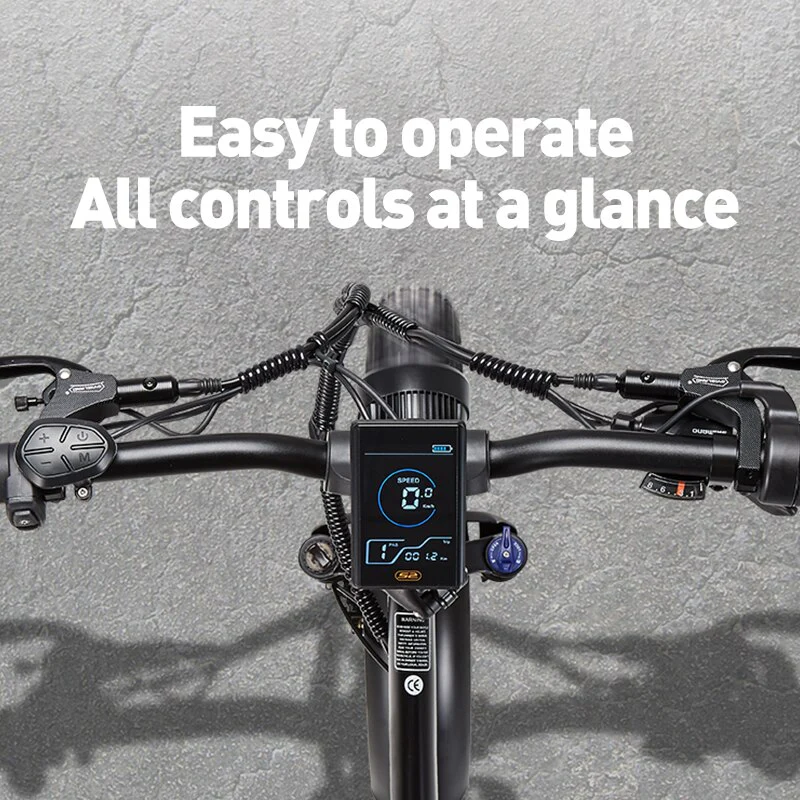 BURCHDA R8PRO 2023 800W Foldable Electric Bicycle 48V20AH Lithium Battery 4.0 Fat Tire 20Inch Men's and Women's Snow Ebike Motor - Image 4