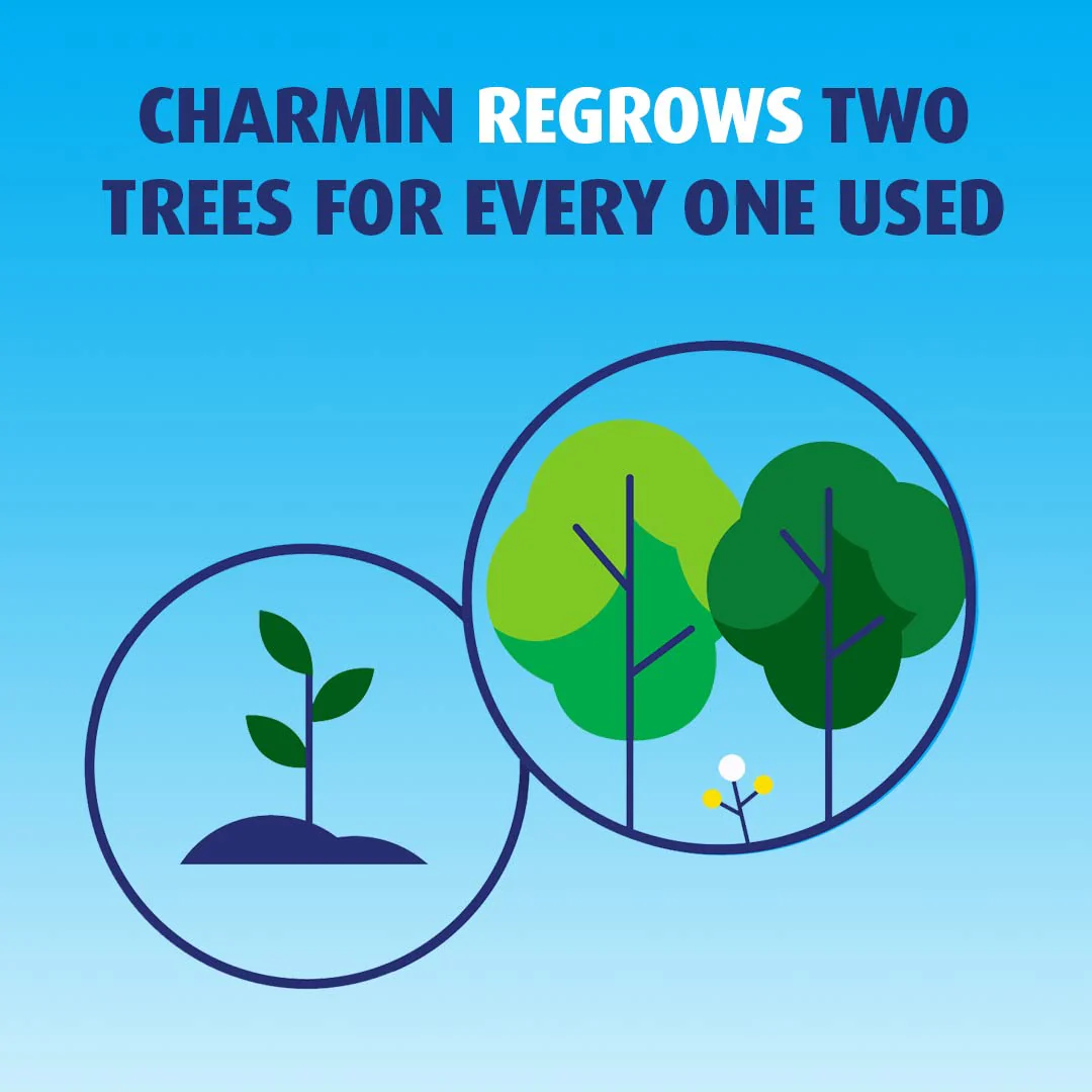 Charmin Ultra Strong Clean Touch Toilet Paper, 24 Family Mega Rolls = 123 Regular Rolls - Image 5