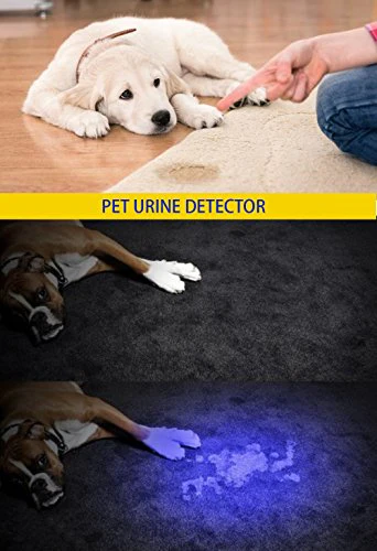 DARKBEAM UV 365nm Light Wood's lamp Blacklight Ultraviolet Flashlight LED Portable Mini Handheld Torch Detector for Dog Urine Pet Stains 370nm Anti-counterfeiting Identification, Resin Curing - Image 2