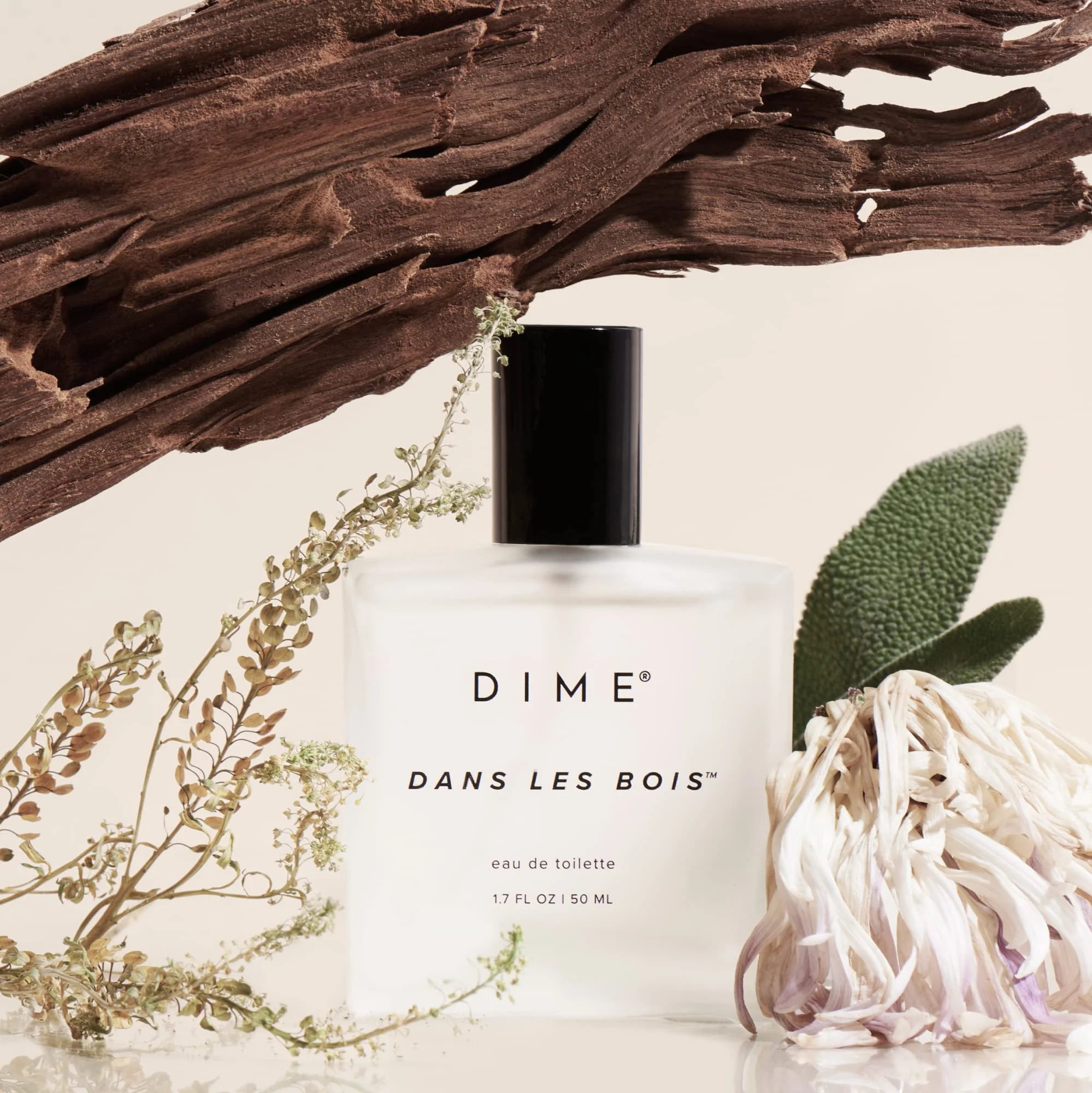 DIME Beauty Perfume Dans Les Bois, Feminine and Bold Scent, Hypoallergenic, Clean Perfume, Eau de Toilette For Women, 1.7 oz / 50 ml - Image 3