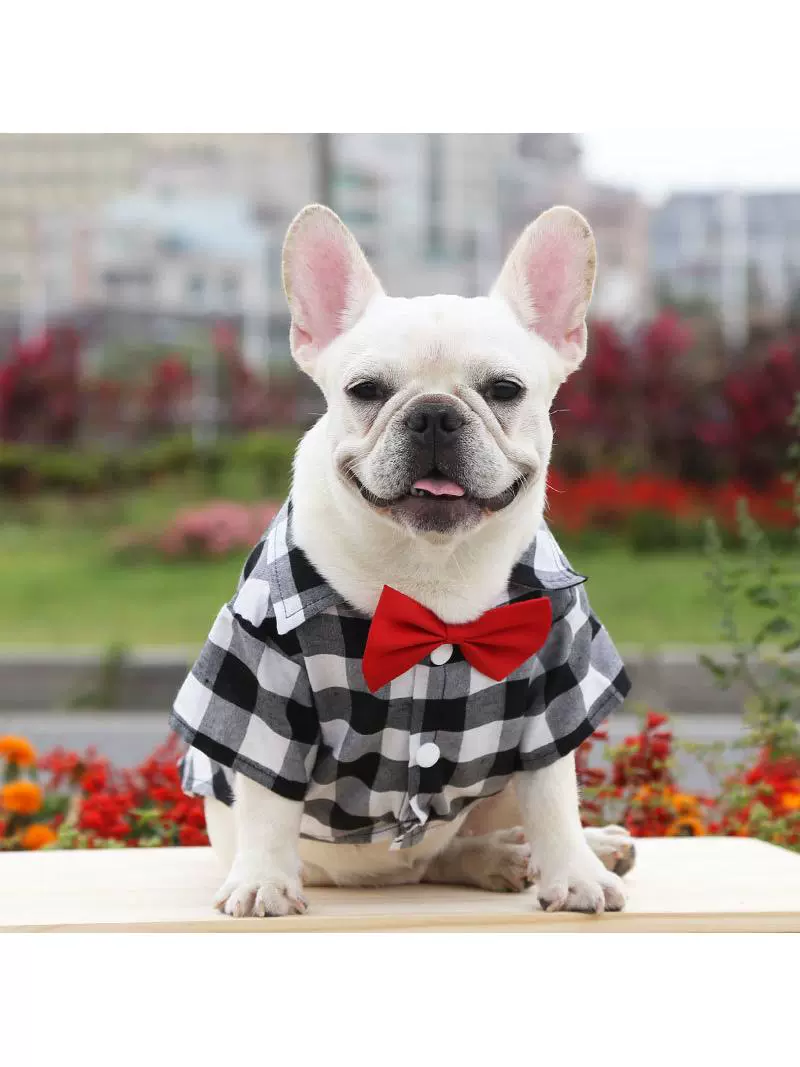 Dog Gingham Shirt Suit Wedding Dress Jarre Aero Bull Pug Small, Medium and Large Dogs Pet Clothes Cat Supplies - Image 2