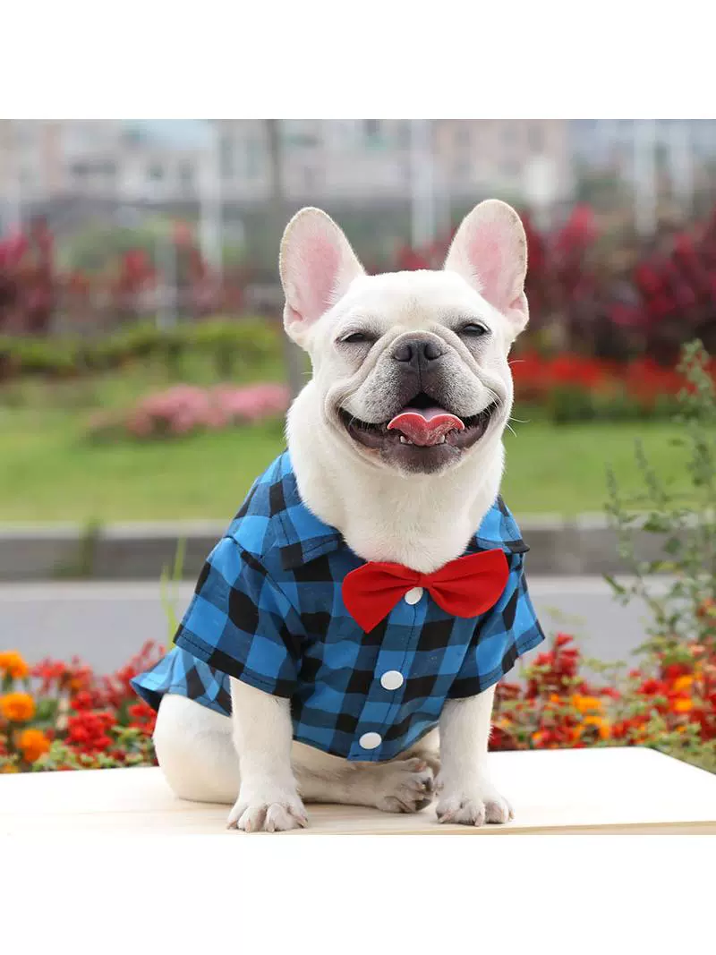 Dog Gingham Shirt Suit Wedding Dress Jarre Aero Bull Pug Small, Medium and Large Dogs Pet Clothes Cat Supplies - Image 4