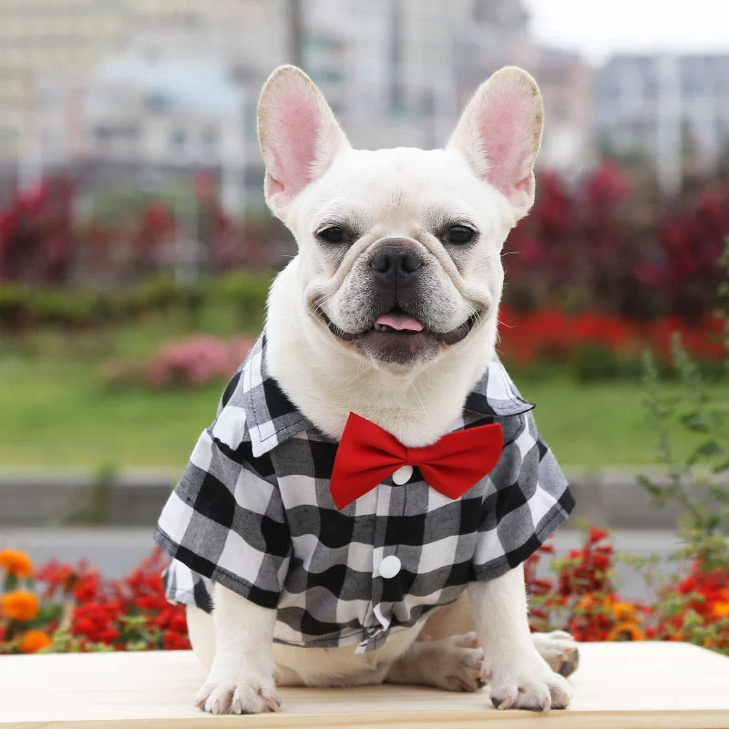 Dog Gingham Shirt Suit Wedding Dress Jarre Aero Bull Pug Small, Medium and Large Dogs Pet Clothes Cat Supplies - Image 6
