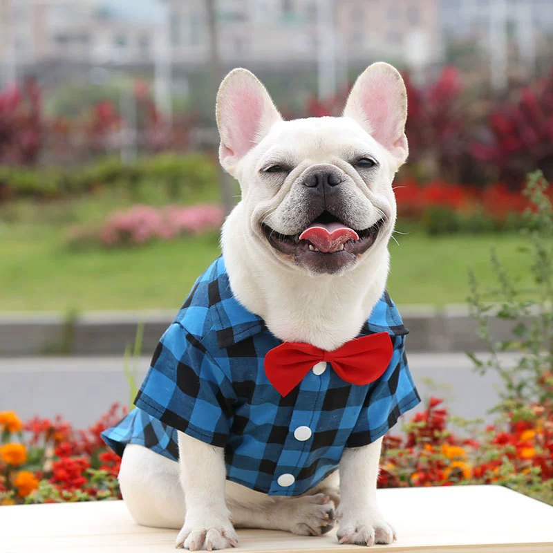 Dog Gingham Shirt Suit Wedding Dress Jarre Aero Bull Pug Small, Medium and Large Dogs Pet Clothes Cat Supplies - Image 8