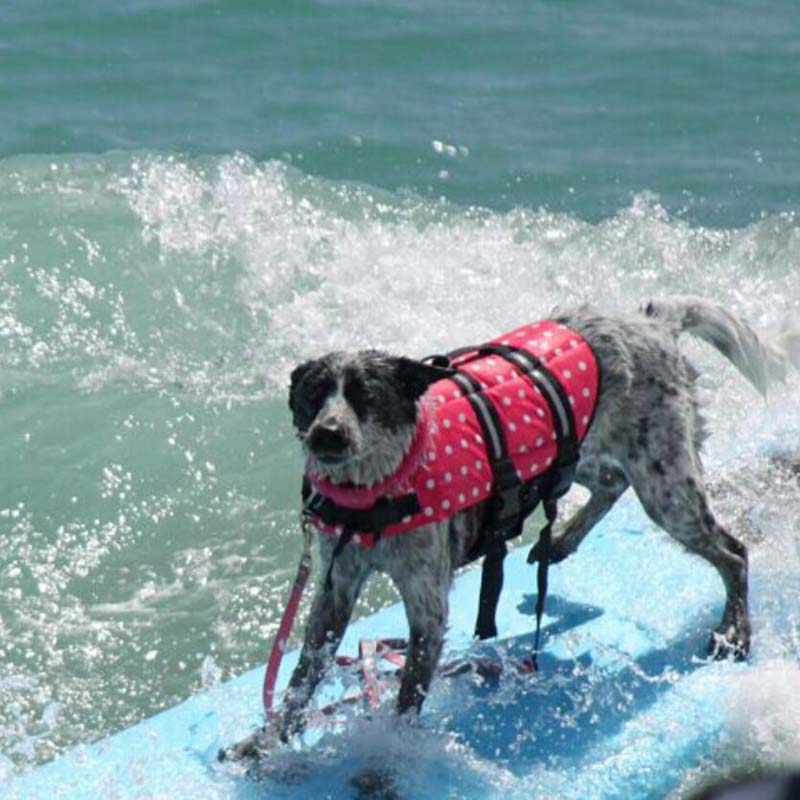 Dog Life Vest Summer Printed Pet Life Jacket Dog Safety Clothes Dogs Swimwear Pets Safety Swimming Suit - Image 13