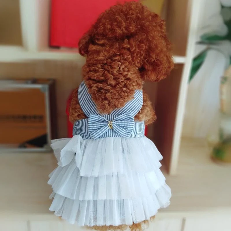 Dog Summer Dress Cat Lace Skirt Pet Clothing Chihuahua Stripe Skirt Puppy Cat Princess Apparel Cute Puppy Clothe Dog Accessories - Image 10