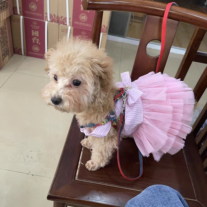 Dog Summer Dress Cat Lace Skirt Pet Clothing Chihuahua Stripe Skirt Puppy Cat Princess Apparel Cute Puppy Clothe Dog Accessories - Image 9