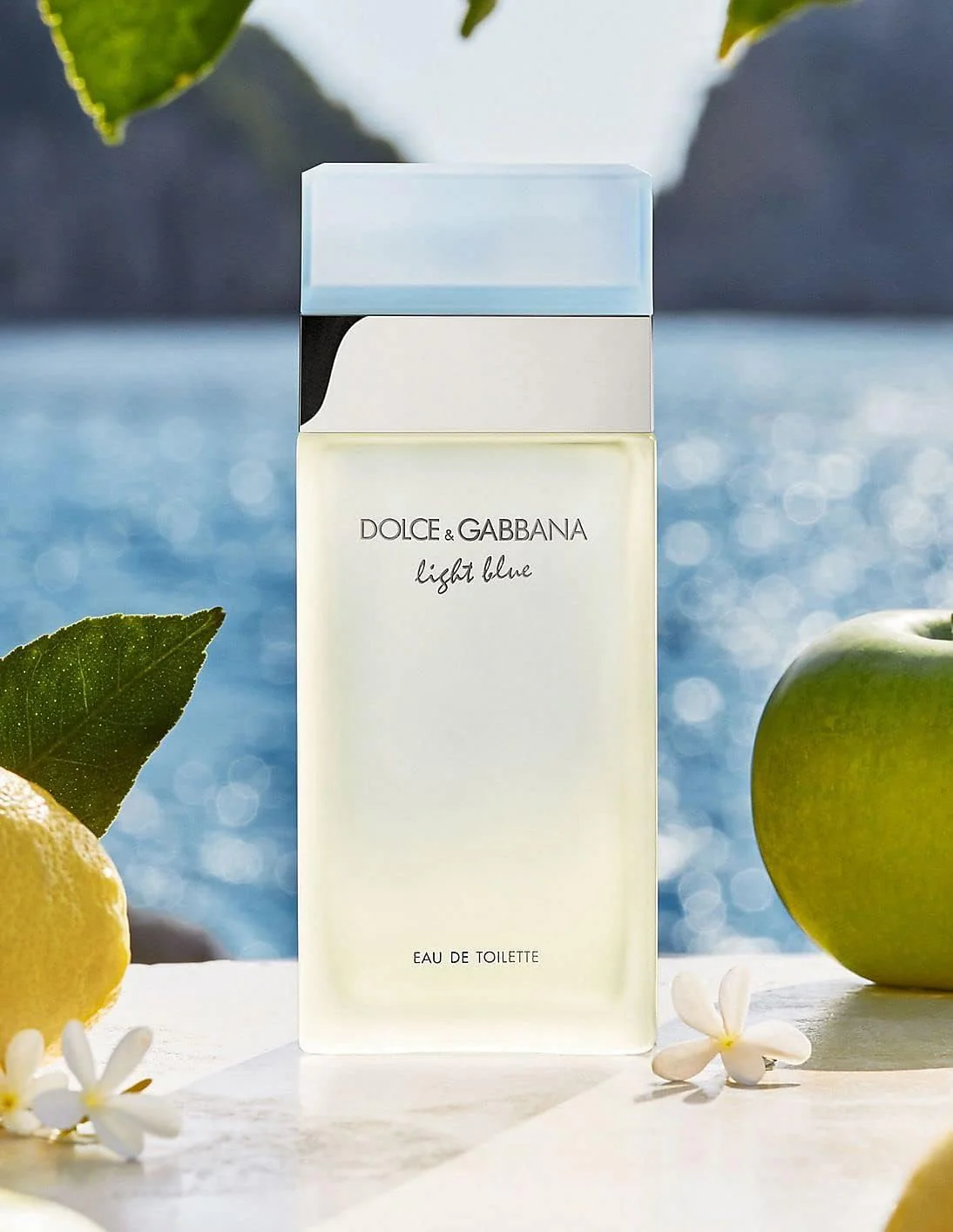 Dolce & Gabbana Light Blue for Women Eau de Toilette Spray, 3.3 Ounce - Image 3