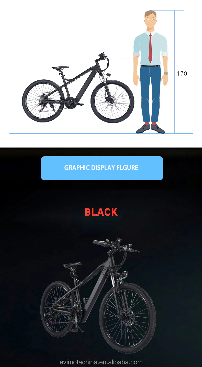 Professional 48 V 350 W Motor E Moutain eBike Double Suspension 26 Inch Big Wheel Electric Bike - Image 5