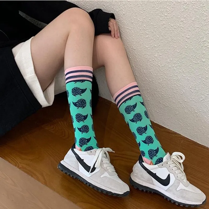 Fashion Colorful Autumn Winter Stocking Women's Socks Plant Hedgehog Slothsi Cotton Socks Personality Straight Trendy Socks - Image 2