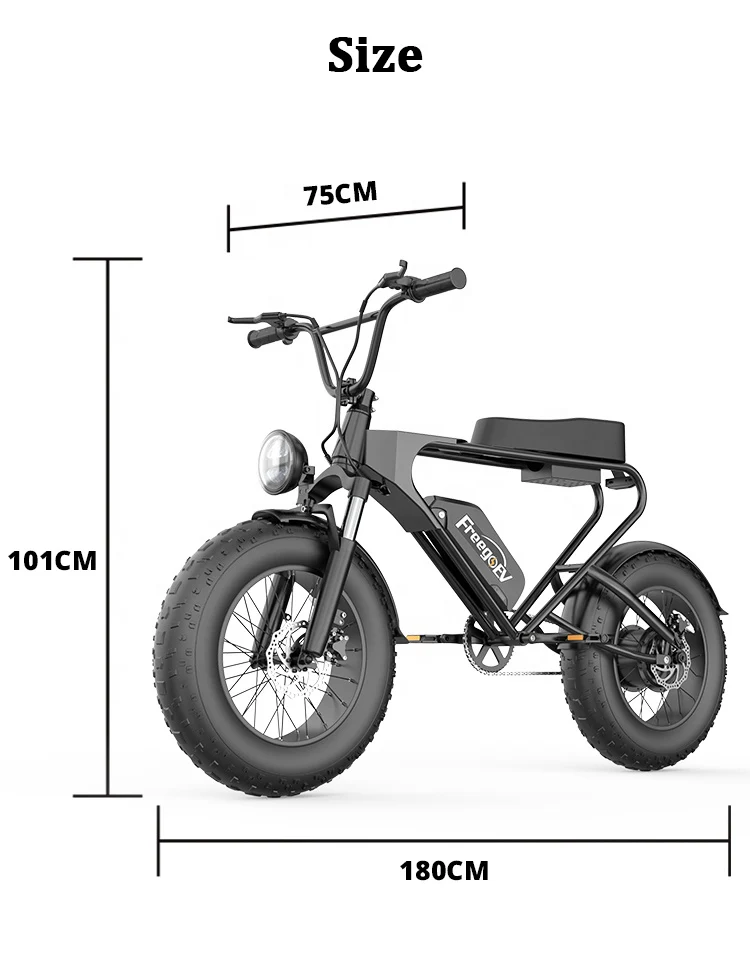 Freego DK200 for shipping package shipping 1200W motor 20-inch electric motorcycle electric fat tire dirt bike - Image 7