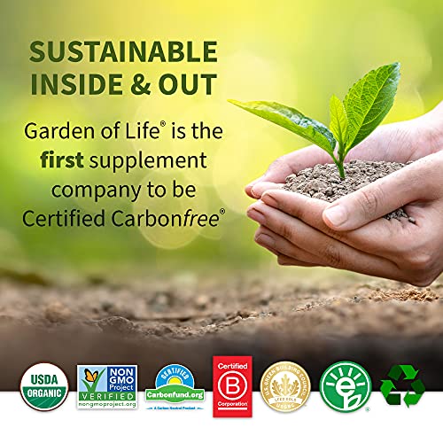 Garden of Life Sport Whey Protein Powder Chocolate, Premium Grass Fed Whey Protein Isolate Plus Probiotics for Immune System Health, 24g Protein, Non GMO, Gluten Free, Cold Processed - 20 Servings - Image 4