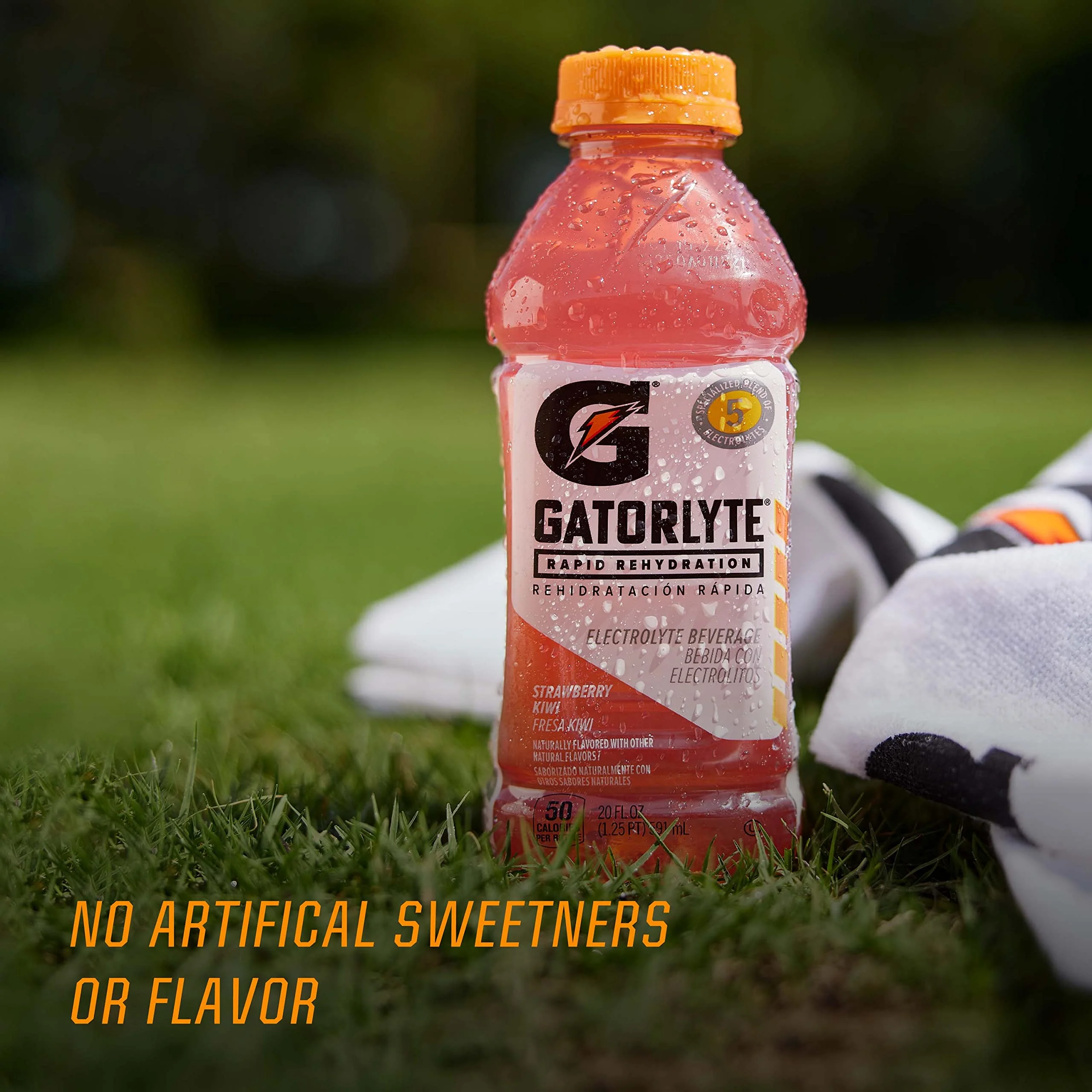 Gatorlyte Rapid Rehydration Electrolyte Beverage, 3 Flavor Variety Pack, 20 Fl Oz (Pack of 12) - Image 2