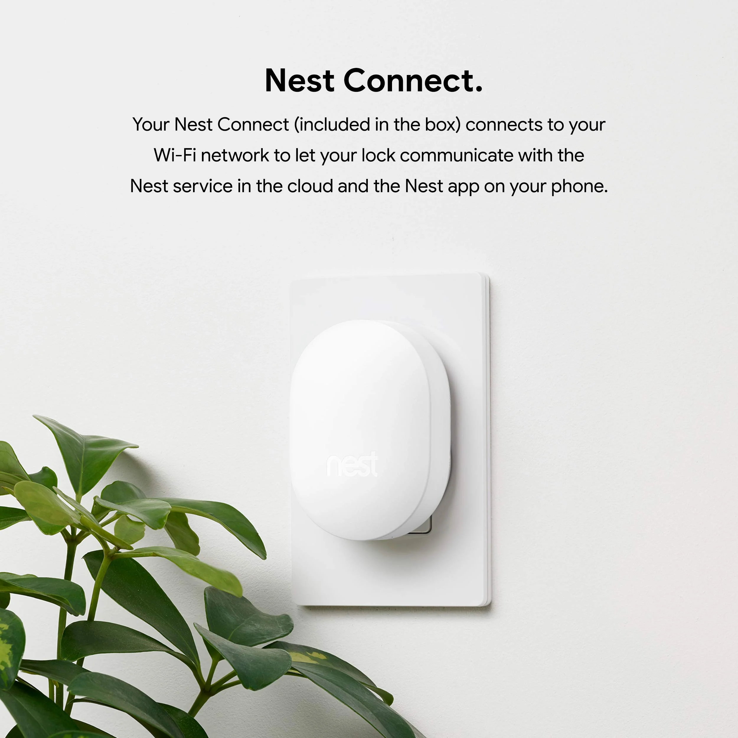 Google Nest x Yale Lock - Tamper-Proof Smart Lock for Keyless Entry - Keypad Deadbolt Lock for Front Door - Satin Nickel - Image 7