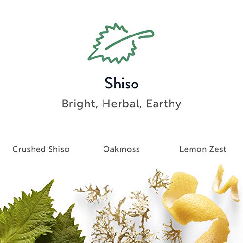 Harry's Men's Deodorant - Odor Control Deodorant - Aluminum-Free - Variety Pack - Stone, Shiso, Redwood, 2.5 Ounce (Pack of 3) - Image 3