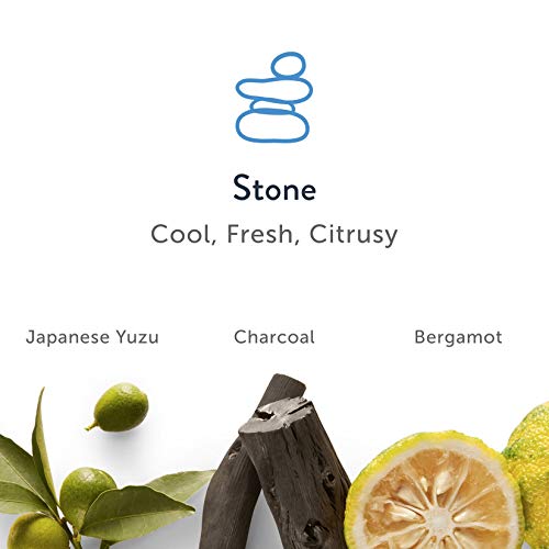 Harry's Men's Deodorant - Odor Control Deodorant - Aluminum-Free - Variety Pack - Stone, Shiso, Redwood, 2.5 Ounce (Pack of 3) - Image 5