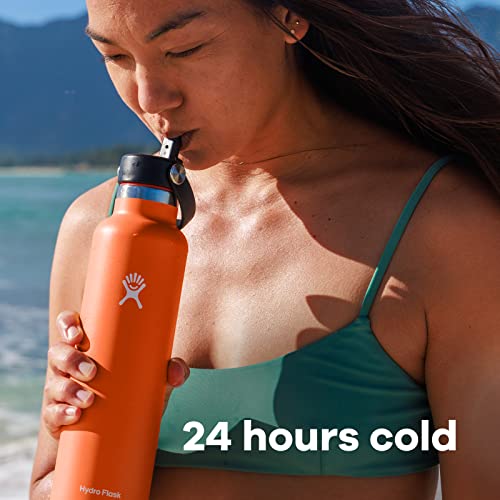 Hydro Flask 24 Oz Standard Flex Straw Cap Mesa - Image 5