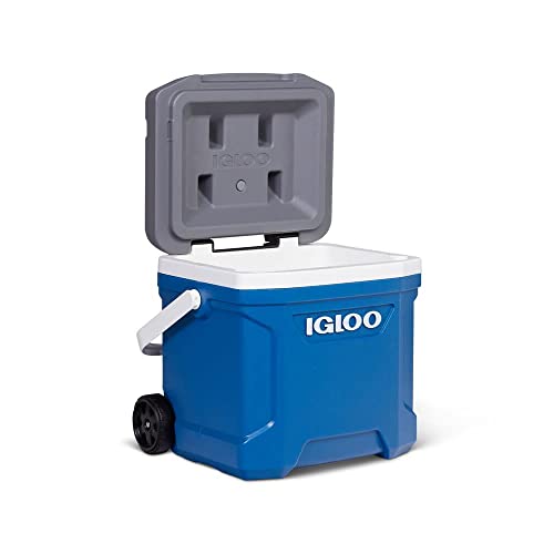 Igloo Latitude 16 Roller (Indigo Blu.Wht.M-Gray.Wht) 00034825 - Image 6