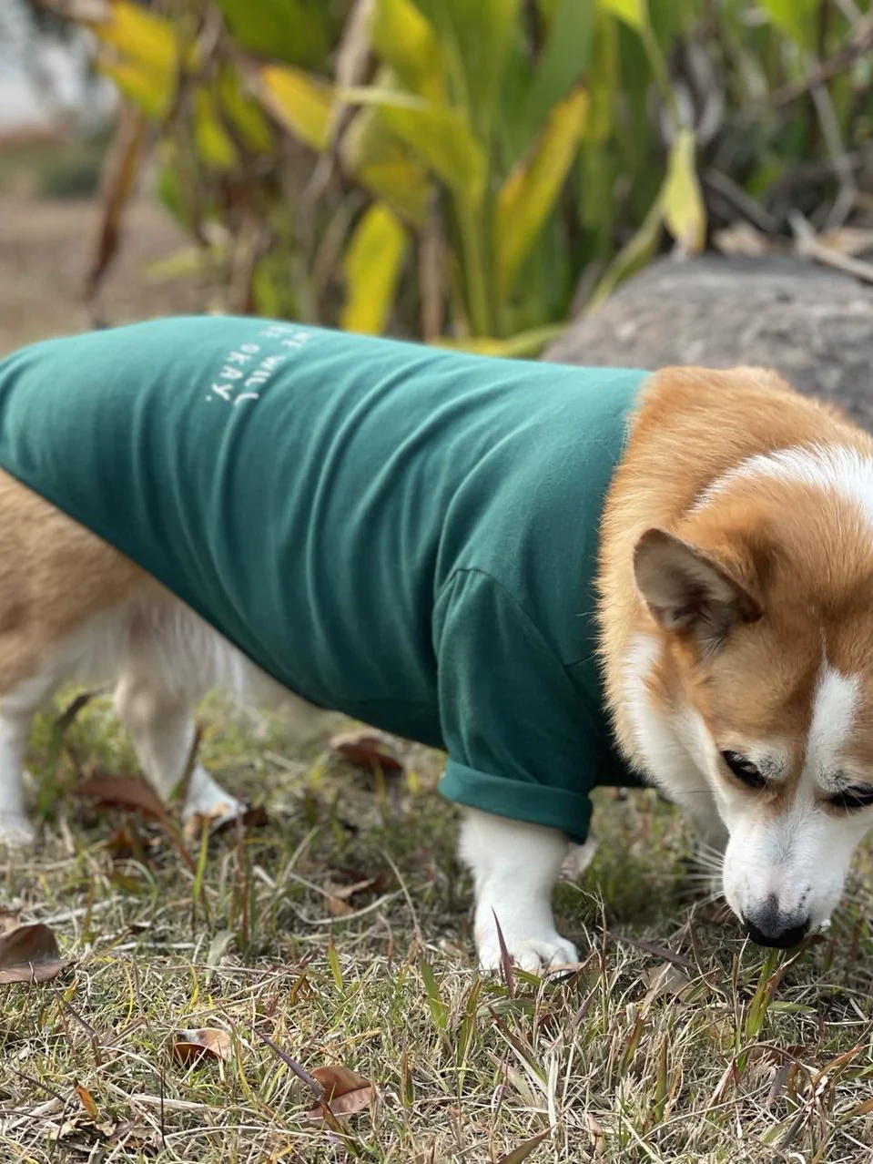 INS Style South Korea K-style Minimalist Printed Half Sleeve Pet Clothes Dogs and Cats Bottoming Pet Stretch Pure Color Letters - Image 4