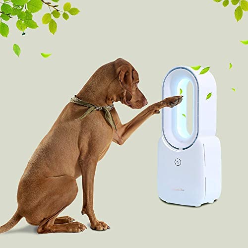 let'me Desk Fan,Portable Bladeless Fan 11.8 inch Small Personal Cooling Fan with 5 Colors Touch Control LED Light,Quiet Table Fan for Home, Office, Bedroom - Image 4