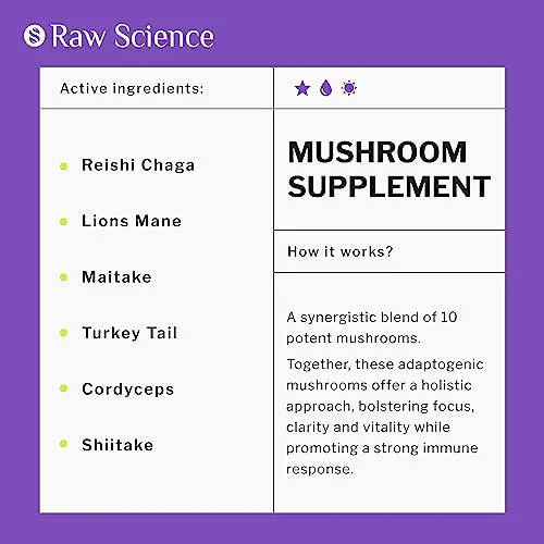 Mushroom Nootropic Supplement with Lions Mane - Mushroom Blend: Lion's Mane, Reishi, Chaga Mushroom Extract - Focus & Brain Support with Turkey Tail, Shiitake, Maitake, Cordyceps Powder - 60 Capsules - Image 7