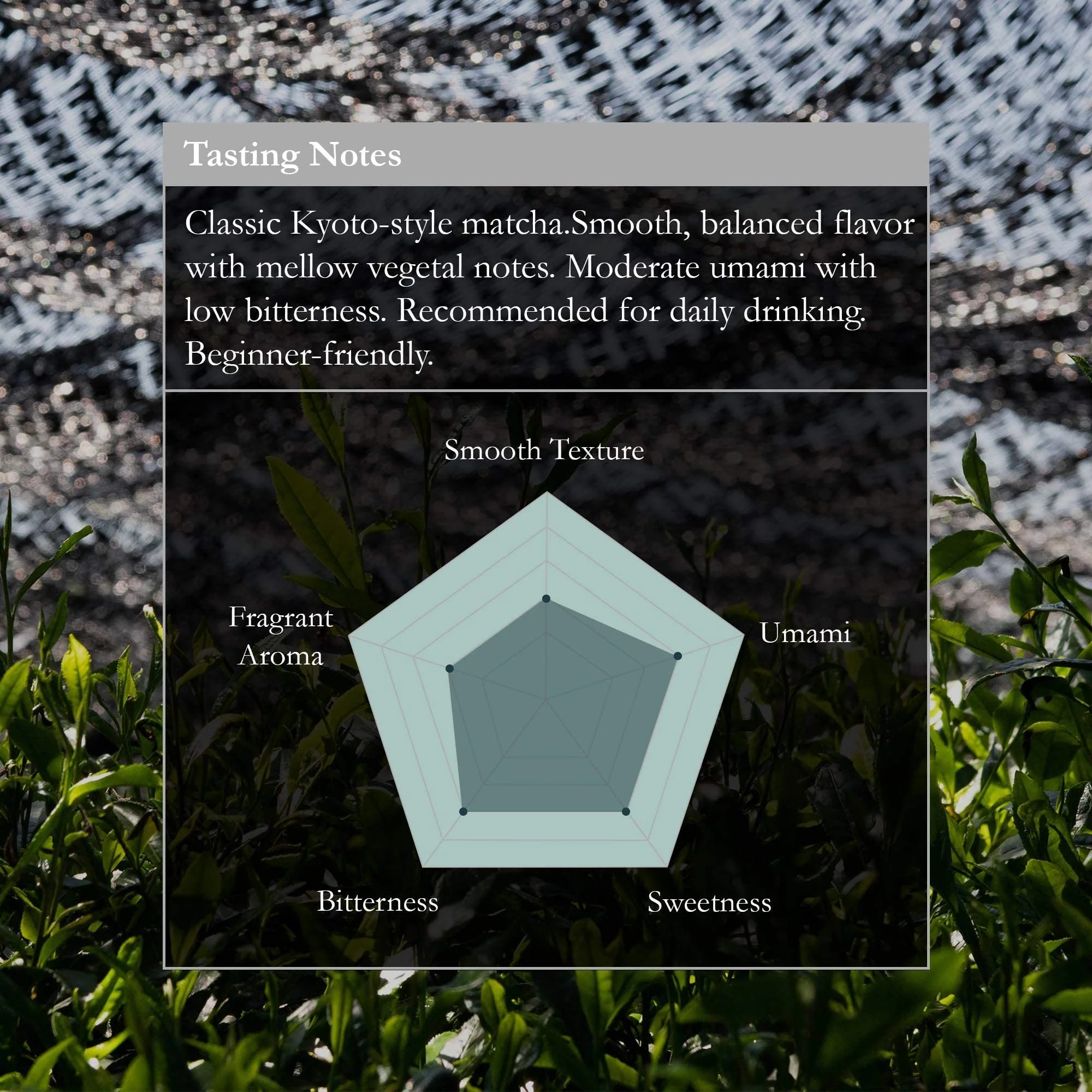 Naoki Matcha Superior Ceremonial Blend – Authentic Japanese First Harvest Ceremonial Grade Matcha Green Tea Powder from Uji, Kyoto (40g / 1.4oz) - Image 5