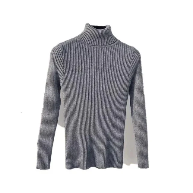 New Winter Women Knitted Turtleneck Sweater Casual Soft Polo-neck Jumper Fashion Slim Femme Elasticity Pullovers Collar Style - Image 14