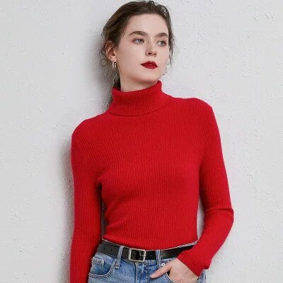 New Winter Women Knitted Turtleneck Sweater Casual Soft Polo-neck Jumper Fashion Slim Femme Elasticity Pullovers Collar Style - Image 17