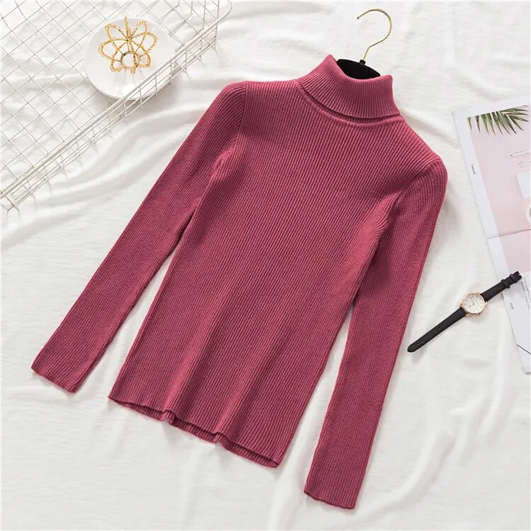 New Winter Women Knitted Turtleneck Sweater Casual Soft Polo-neck Jumper Fashion Slim Femme Elasticity Pullovers Collar Style - Image 18