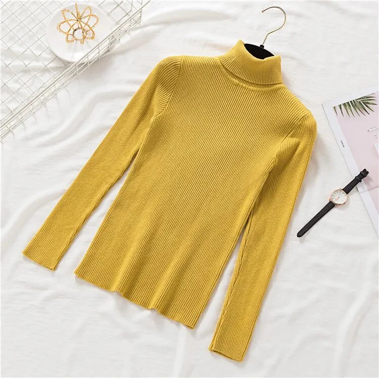 New Winter Women Knitted Turtleneck Sweater Casual Soft Polo-neck Jumper Fashion Slim Femme Elasticity Pullovers Collar Style - Image 20