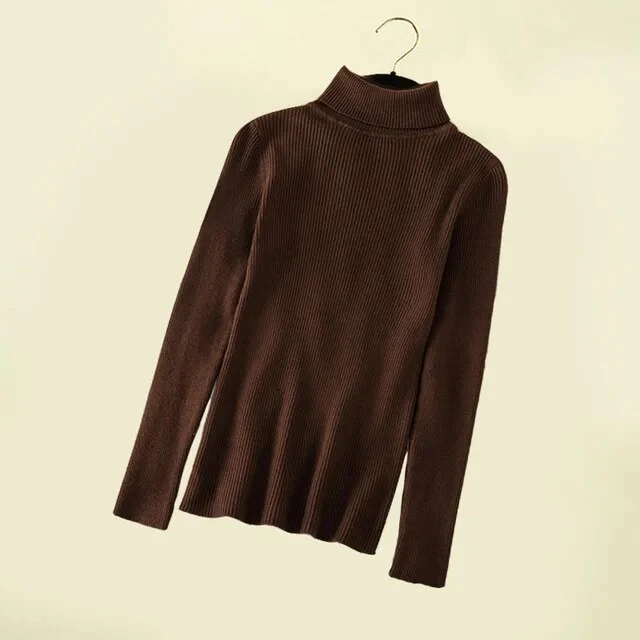 New Winter Women Knitted Turtleneck Sweater Casual Soft Polo-neck Jumper Fashion Slim Femme Elasticity Pullovers Collar Style - Image 9