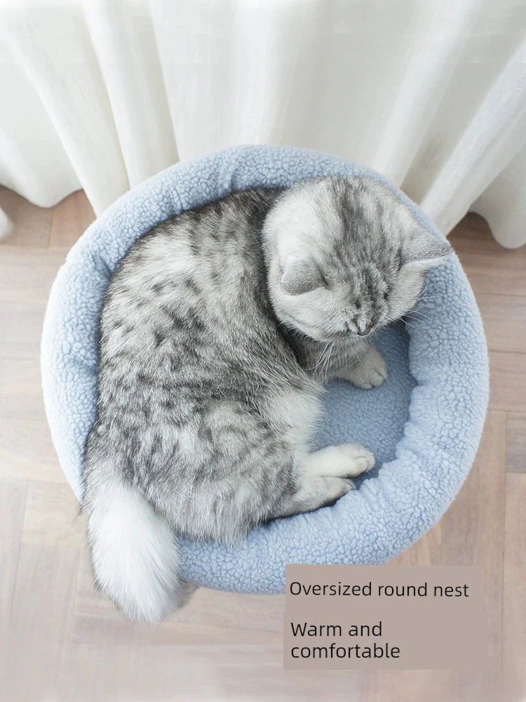 Not Covering an Area of Small Apartment Integrated Cat Climbing Frame - Image 2