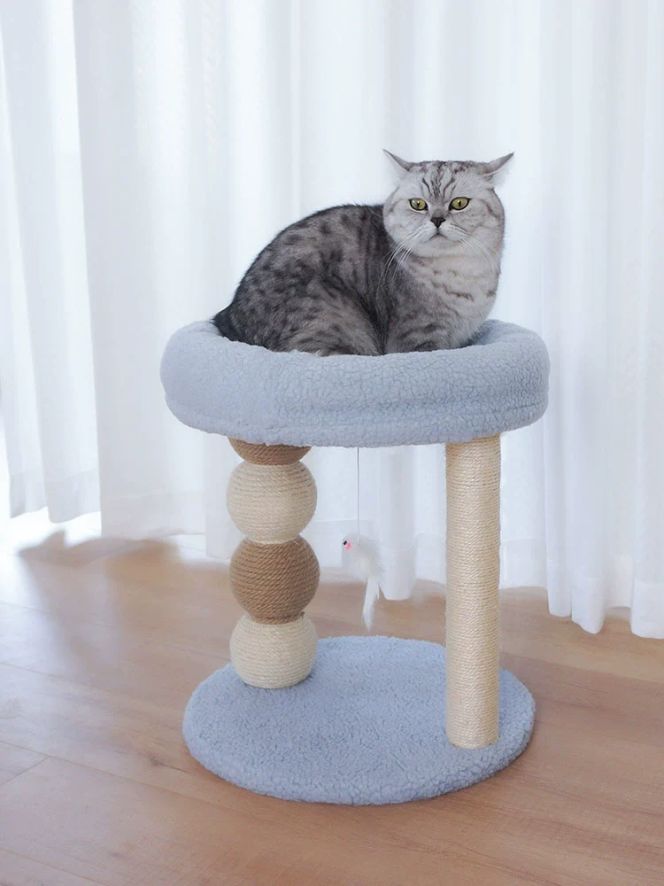 Not Covering an Area of Small Apartment Integrated Cat Climbing Frame - Image 5