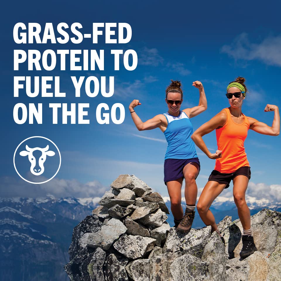Orgain Clean Protein Shake, Grass Fed Dairy, Vanilla Bean - 20g Whey Protein, Meal Replacement, Ready to Drink, Gluten Free, Soy Free, Kosher, 11 Fl Oz (Pack of 12) (Packaging May Vary) - Image 3