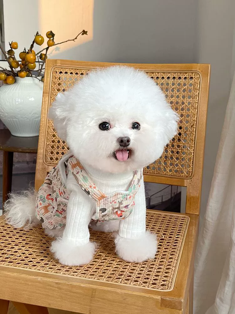 Pet Clothes Fall and Winter New Arrival Quilted Fleece-lined Suspenders Teddy Bichon Dog Cat Traction Buckle Thickened Outwear - Image 2