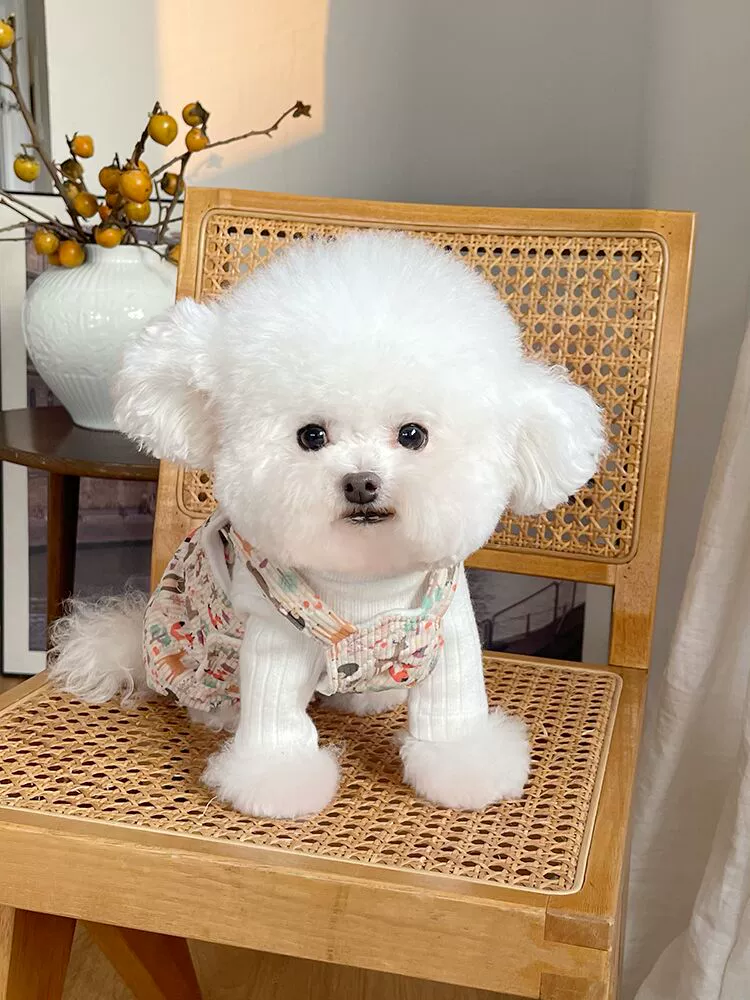 Pet Clothes Fall and Winter New Arrival Quilted Fleece-lined Suspenders Teddy Bichon Dog Cat Traction Buckle Thickened Outwear - Image 3