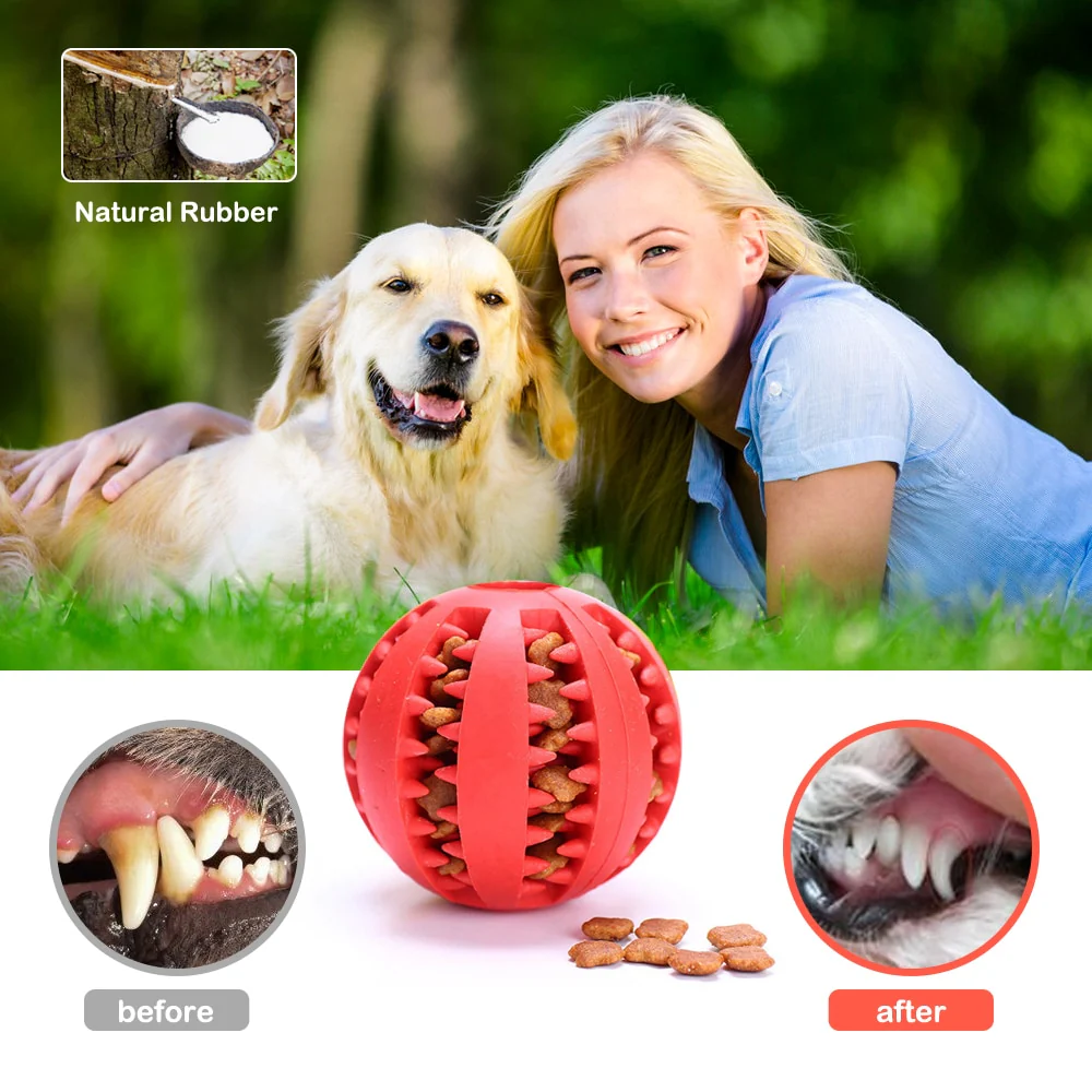 Pet Dog Toy Interactive Rubber Balls for Small Large Dogs Puppy Cat Chewing Toys Pet Tooth Cleaning Indestructible Dog Food Ball - Image 8